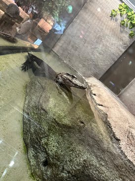 DMMかりゆし水族館に投稿された画像（2024/2/27）