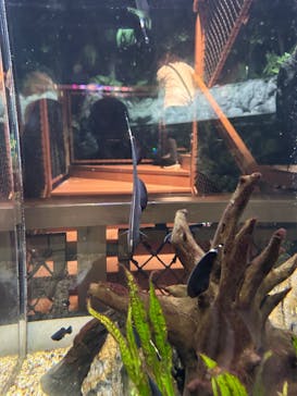 DMMかりゆし水族館に投稿された画像（2024/2/27）