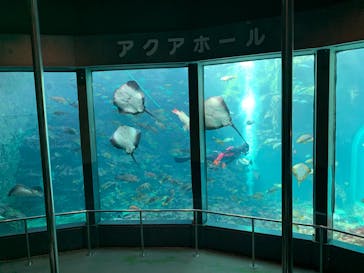 下田海中水族館に投稿された画像（2024/2/27）