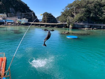 下田海中水族館に投稿された画像（2024/2/27）