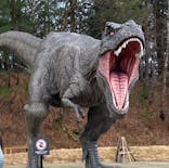 福井県立恐竜博物館に投稿された画像（2024/2/27）