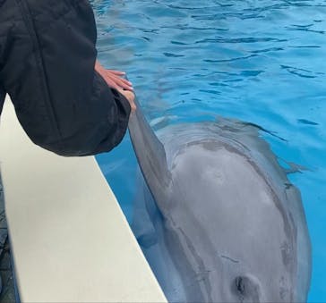 南知多ビーチランド＆南知多おもちゃ王国に投稿された画像（2024/2/27）