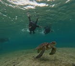 宮古島 ADVENTURE PiPi（ミヤコジマ アドベンチャー ピピ）に投稿された画像（2024/2/27）