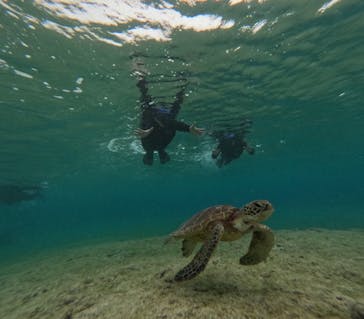 宮古島 ADVENTURE PiPi（ミヤコジマ アドベンチャー ピピ）に投稿された画像（2024/2/27）