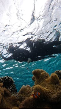 宮古島 ADVENTURE PiPi（ミヤコジマ アドベンチャー ピピ）に投稿された画像（2024/2/27）