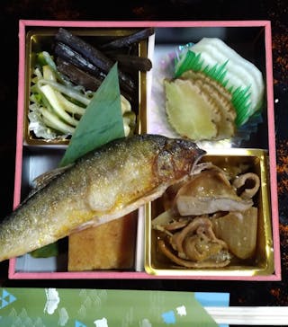 樹の下やよしなりに投稿された画像（2024/2/24）