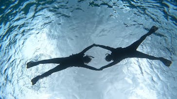 宮古島 ADVENTURE PiPi（ミヤコジマ アドベンチャー ピピ）に投稿された画像（2024/2/27）