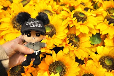 ゴッホ・アライブに投稿された画像（2024/2/27）