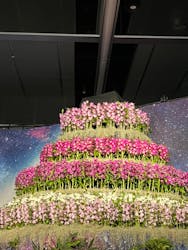 世界らん展2024-花と緑の祭典-に投稿された画像（2024/2/27）