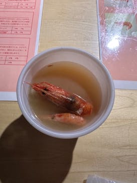 サンシャイン水族館に投稿された画像（2024/2/27）