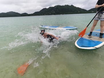 石垣島 ADVENTURE PiPi（イシガキジマアドベンチャーピピ）に投稿された画像（2024/2/27）