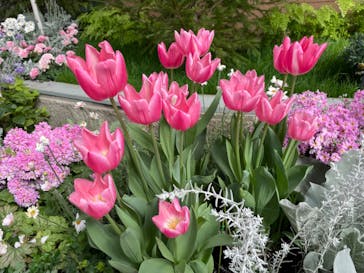 安城産業文化公園デンパークに投稿された画像（2024/2/27）