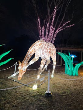 サンシャイン水族館に投稿された画像（2024/2/27）