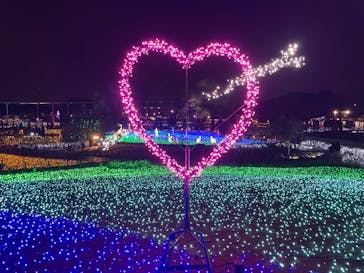 サンシャイン水族館に投稿された画像（2024/2/27）