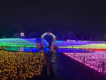 サンシャイン水族館に投稿された画像（2024/2/27）