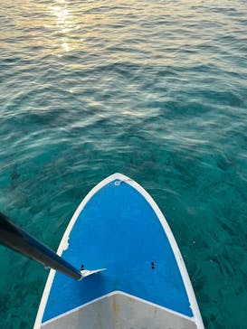 宮古島 ADVENTURE PiPi（ミヤコジマ アドベンチャー ピピ）に投稿された画像（2024/2/27）