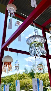 京都水族館に投稿された画像（2024/2/28）