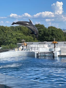 京都水族館に投稿された画像（2024/2/28）