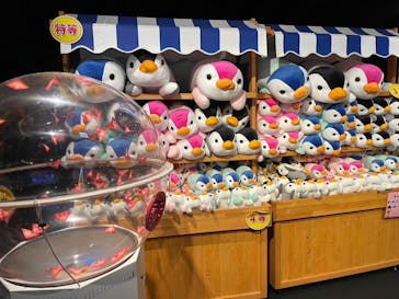 京都水族館に投稿された画像（2024/2/28）