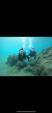 武藤潜水に投稿された画像（2024/2/28）