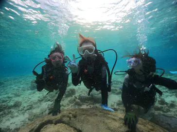 武藤潜水に投稿された画像（2024/2/28）