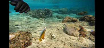 武藤潜水に投稿された画像（2024/2/28）