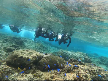 武藤潜水に投稿された画像（2024/2/28）