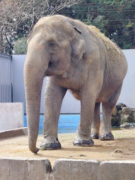 宇都宮動物園に投稿された画像（2024/2/28）