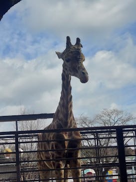 宇都宮動物園に投稿された画像（2024/2/28）