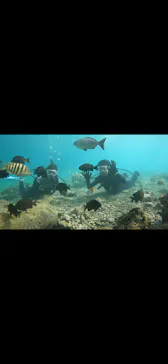 武藤潜水に投稿された画像（2024/2/28）