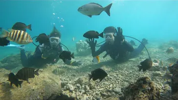 武藤潜水に投稿された画像（2024/2/28）