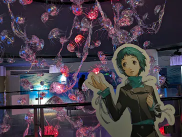 横浜・八景島シーパラダイスに投稿された画像（2024/2/28）