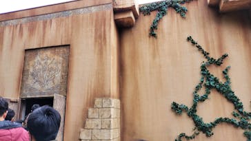 ニジゲンノモリに投稿された画像（2024/2/28）