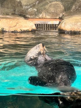 マリンワールド海の中道に投稿された画像（2024/2/28）