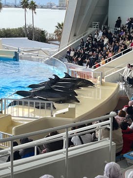 マリンワールド海の中道に投稿された画像（2024/2/28）