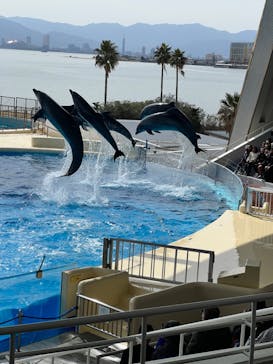 マリンワールド海の中道に投稿された画像（2024/2/28）