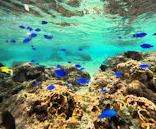 武藤潜水に投稿された画像（2024/2/28）