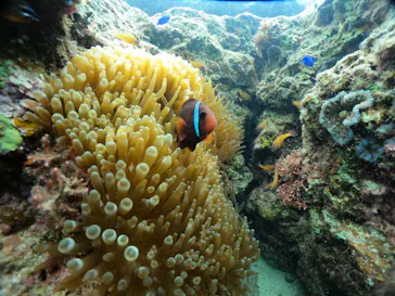 武藤潜水に投稿された画像（2024/2/28）