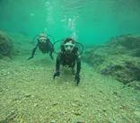 沖縄マリンサービス碧に投稿された画像（2024/2/28）