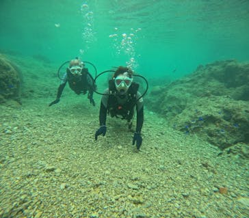 沖縄マリンサービス碧に投稿された画像（2024/2/28）