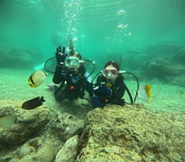 沖縄マリンサービス碧に投稿された画像（2024/2/28）