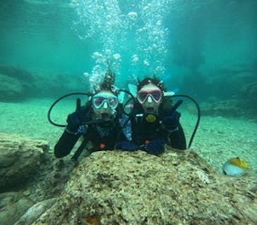 沖縄マリンサービス碧に投稿された画像（2024/2/28）