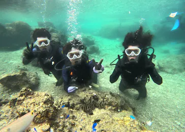 武藤潜水に投稿された画像（2024/2/28）