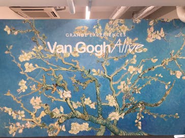 ゴッホ・アライブに投稿された画像（2024/2/28）