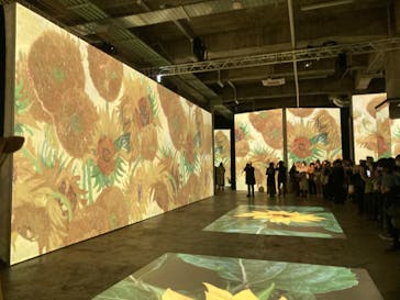 ゴッホ・アライブに投稿された画像（2024/2/28）