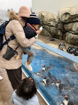 仙台うみの杜水族館に投稿された画像（2024/2/28）