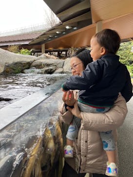 仙台うみの杜水族館に投稿された画像（2024/2/28）