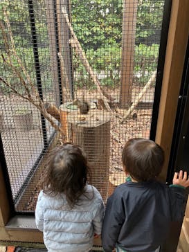 仙台うみの杜水族館に投稿された画像（2024/2/28）