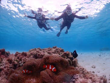 CHAMP TOUR　宮古島に投稿された画像（2024/2/28）