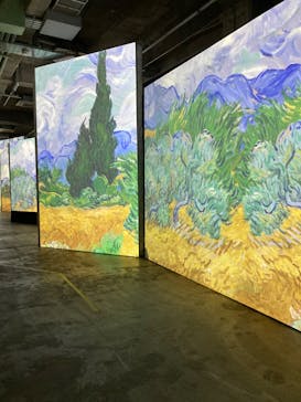 ゴッホ・アライブに投稿された画像（2024/2/28）